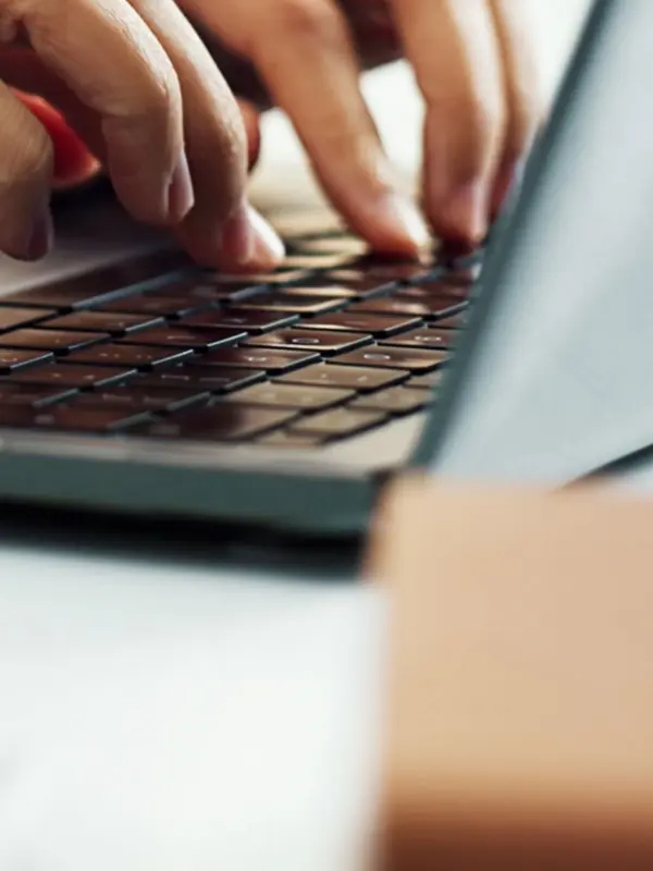 Stakeholder Using Laptop